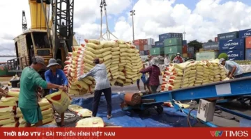 صعوبات لوجستية تهدد حركة صادرات الأرز العالمية خلال الفترة القادمة